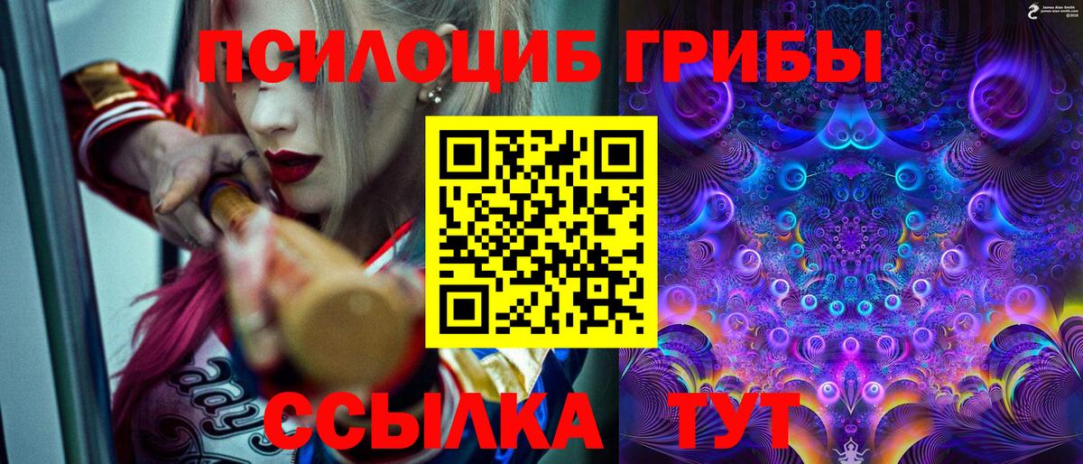Псилоцибиновые грибы Magic Shrooms  Вход с VPN  Великий Новгород  Галлюциногенные грибы ЛСД 
